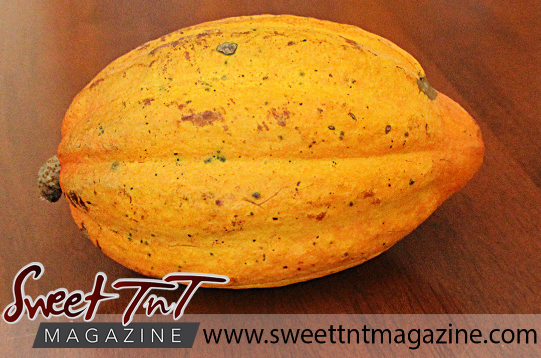 Tasty and healthy cocoa pod Sweet TnT Magazine