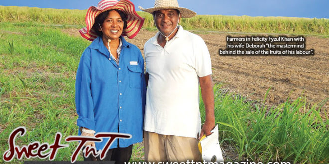 Farming in Felicity Fyzul Khan with wife Deborah Khan, parents of Candida and Katrina Khan, wearing blue shirt, white t shirt wearing farmer's hats in Sweet T&T, Sweet TnT, Trinidad and Tobago, Trini, vacation, travel