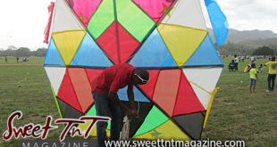 Mad bull kite by Nadia Ali in Savannah for Let's go fly a kite and Are you bright about kites articles, Sweet T&T, Sweet TnT, Trinidad and Tobago, Trini, vacation, travel