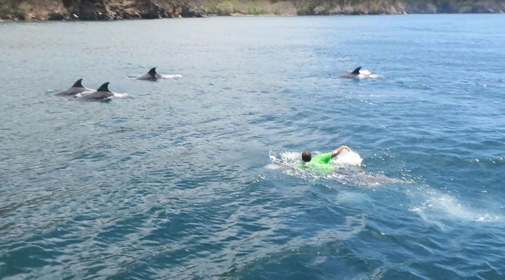 Swimming with the dolphins cruising Down the Islands by Nadia Ali in Sweet T&T, Sweet TnT Magazine, Trinidad and Tobago, Trini, vacation, travel