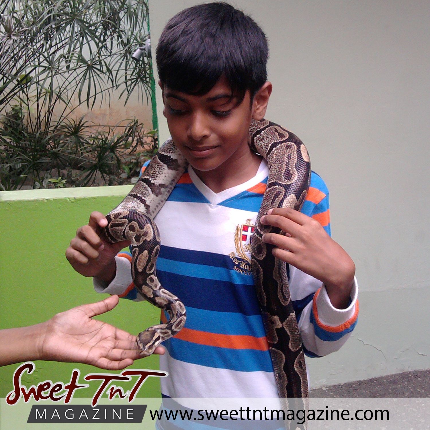 Snake petting! Aadam Ali at Emperor Valley Zoo.