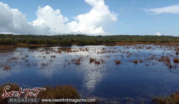 Icacos at the end of Trinidad 17 Icacos brown grass in swirl water green grass blue sky by Marika Mohammed for story Icacos end of Trinidad in Sweet T&T, Sweet TnT, Trinidad and Tobago, Trini, vacation, travel