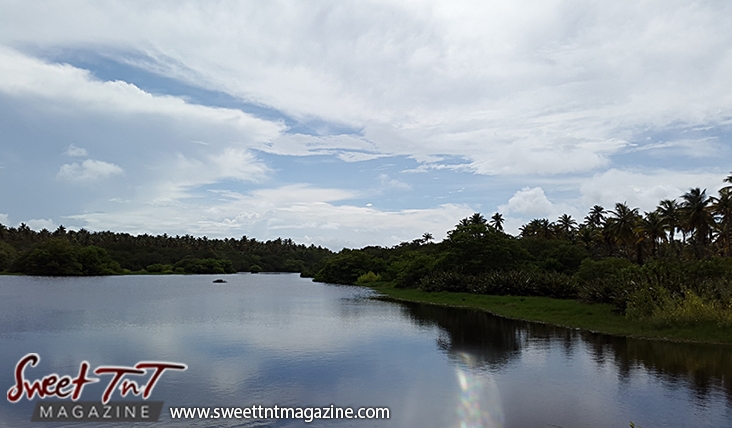 Icacos calm water grass coconut trees blue sky by Marika Mohammed for story Icacos end of Trinidad in Sweet T&T, Sweet TnT, Trinidad and Tobago, Trini, vacation, travel