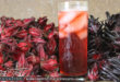 Sorrel juice or roselle drink or juice in glass with ice with red fruit for Christmas season or health benefits for cholesterol, blood pressure, bladder infections, constipation, maylase, use recipe for good taste and health benefits in in Sweet T&T, Sweet TnT, Trinidad and Tobago, Trini, Sorrel Chicken