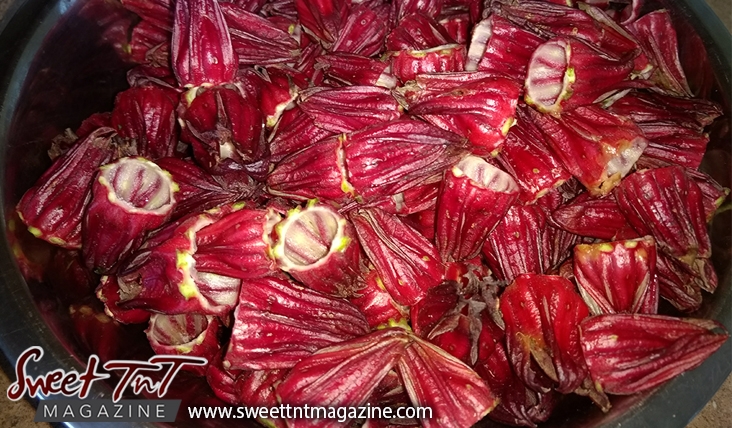 Sorrel or roselle peeled red fruit for Christmas season or health benefits for cholesterol, blood pressure, bladder infections, constipation, maylase, use recipe for good taste and health benefits in in Sweet T&T, Sweet TnT, Trinidad and Tobago, Trini, vacation, travel