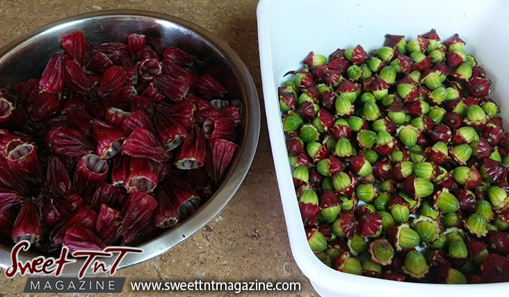 Sorrel or roselle red fruit peeled with seeds for planting for Christmas season or health benefits for cholesterol, blood pressure, bladder infections, constipation, maylase, use recipe for good taste and health benefits in in Sweet T&T, Sweet TnT, Trinidad and Tobago, Trini, vacation, travel
