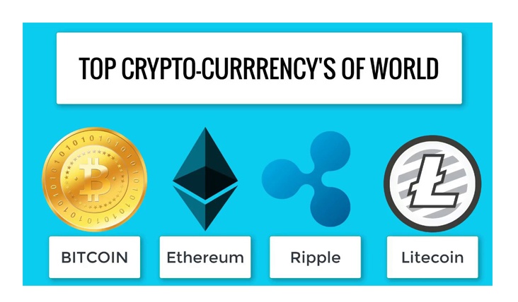 in which cryptocurrency should i invest
