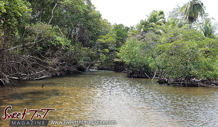 River in Guaya. Photo Marika Mohammed.