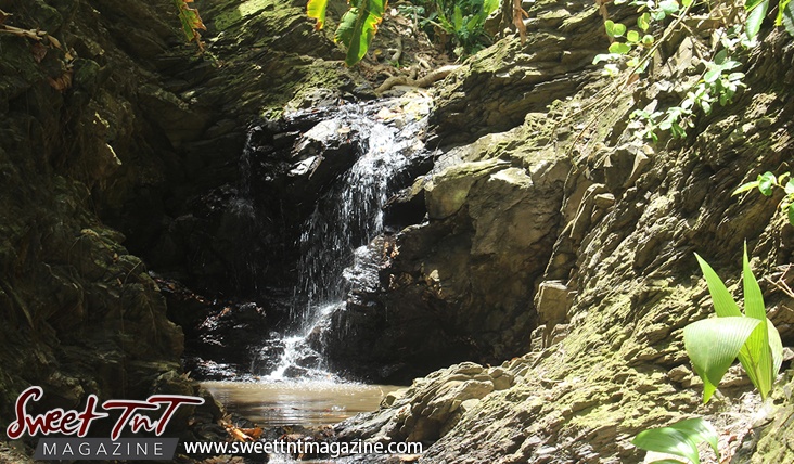 Paria Waterfall journey workout for hikers by Marika Mohammed. Sweet T&T, Trinidad.