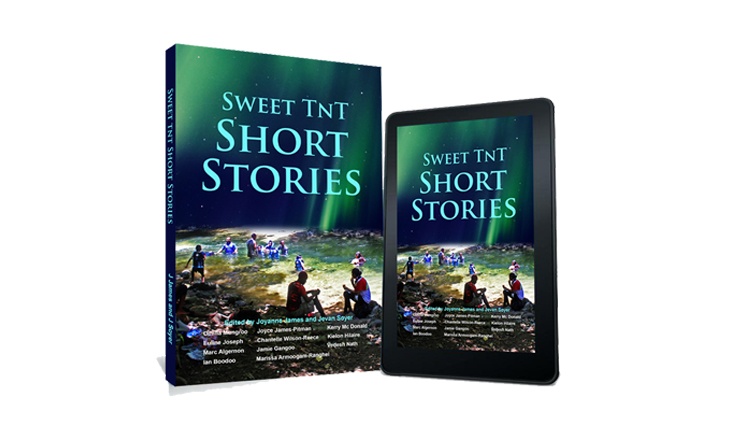Sweet TnT Short Stories