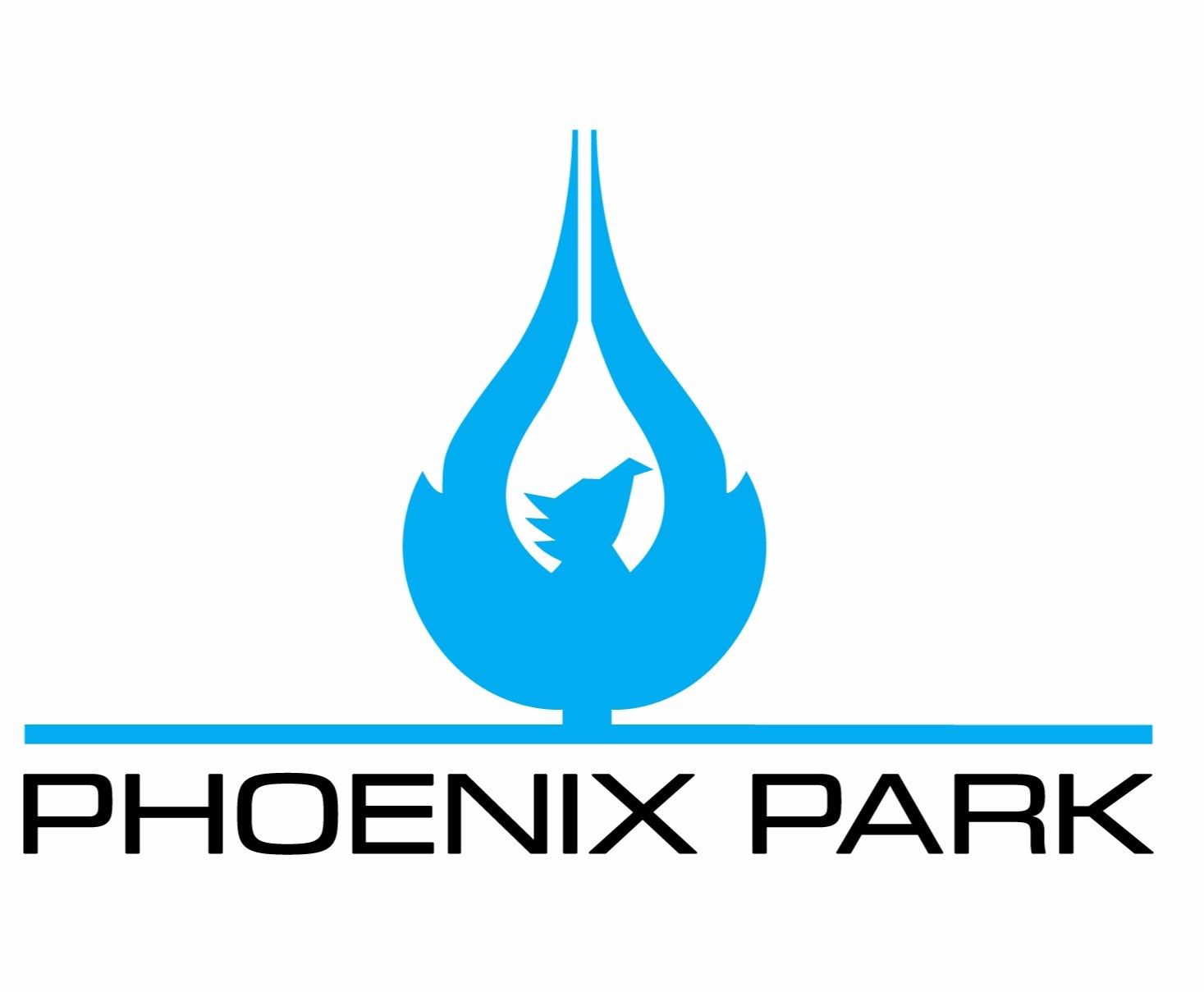Phoenix Park Gas Processors Vacancy