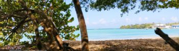 Buccoo Bay, Tobago is the place to visit. Work-Life Balance Paradise: Why Digital Nomads Love Trinidad & Tobago.