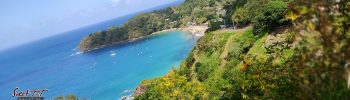 Tobago is the place to visit. Your secret Caribbean winter escape.