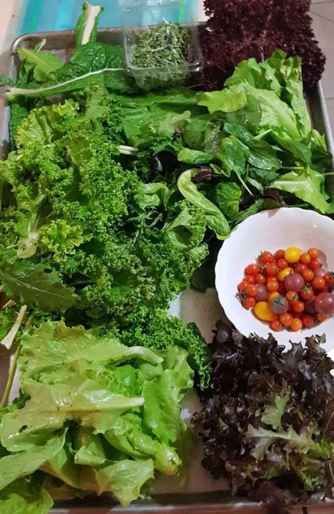 Cheap food: The Promise Basket ensures T&T families are satisfied 26 Cheap food