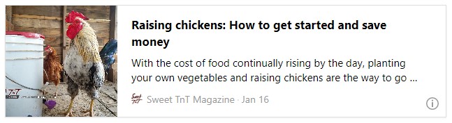 Raising chickens: How to get started and save money - Sweet TnT Magazine