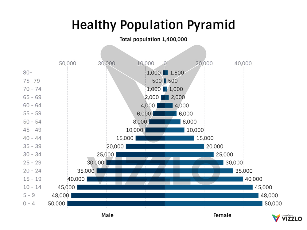 Healthy Population Pyramid