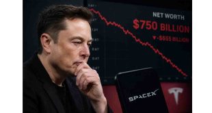 Elon Musk's trillion-dollar rise and fall reveals the golden rule of wealth management.